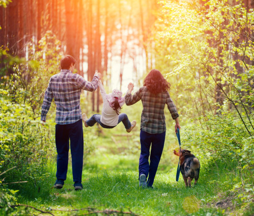 40324088 - happy family walking with dog in the forest
